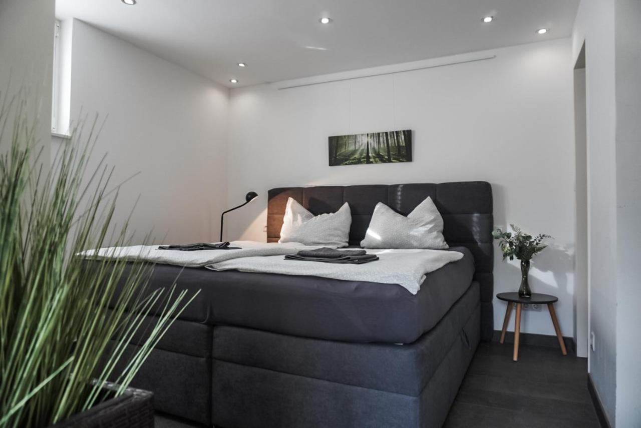 Neu Gebautes Apartment Mit Sonnenterasse In Der Naehe Vom Siebengebirge & Bonn Кенігсвінтер Екстер'єр фото